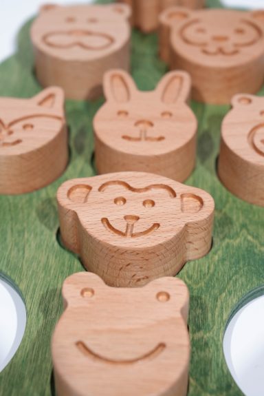 Animals Kingdom Puzzle